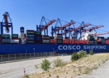 Germany to Review China Stake in Hamburg Port Terminal