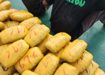 BREAKING: Seme Customs Command Intercept Large Quantities Of Cannabis Sativa