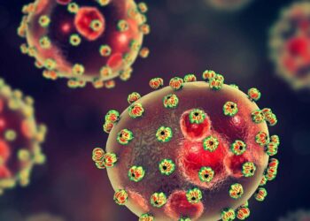 Lassa Fever: 142 Deaths, 784 Confirmed Cases Recorded In 3 Months
