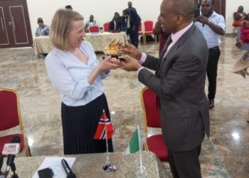 When It Comes To Maritime Security Look To Nigeria, Norwegian Minister Says