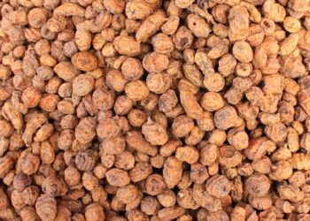 Six Health Benefits Of Tiger Nuts