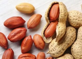 Some Health Benefits Of Eating Groundnuts (Peanuts)