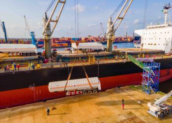 Snake Island Port Will Increase Our Value-add To Nigeria’s Economy – CEO