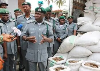 Customs Seizes Pangolin Scales Worth N432m In Bauchi
