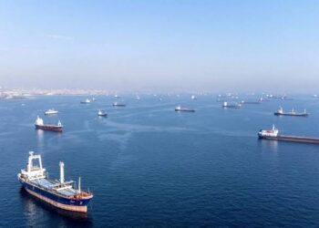 Russia Still Dissatisfied With Black Sea Grain Deal After UN Talks