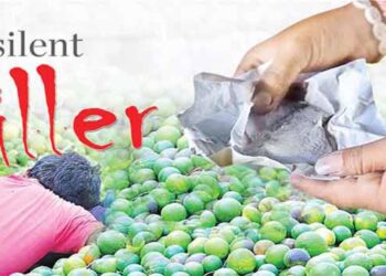 ARTIFICIALLY- RIPENED FRUITS: NAFDAC Warns Against Consumption Of Carbide-Ripened Fruits 