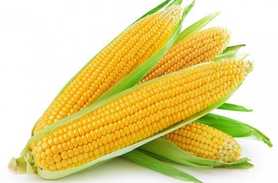Health Benefits Of Corn
