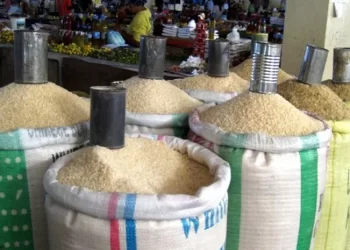 Lagos Rice Traders Lament Hike In Price