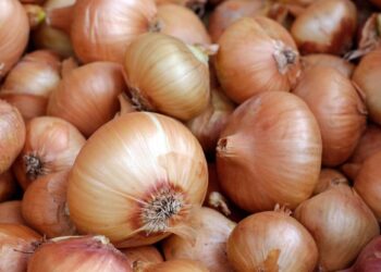 The Many Wonderful Uses Of Onions