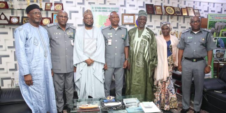 Niger Govt To Create Free Trade Zones – Gov. Bago