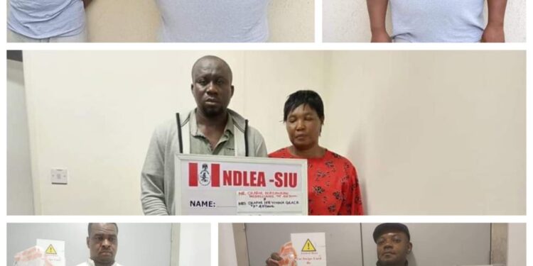 NDLEA Detains 2 Wanted Drug Barons, Arrests 2 Others For Ingesting 175 Wraps Of Heroin