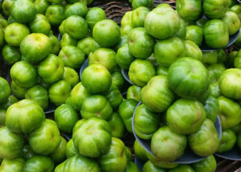 Health Benefits Of Consuming Garden Egg