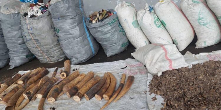 Customs Eastern Marine Command Intercepts Pangolin Scales, Others Worth N680M