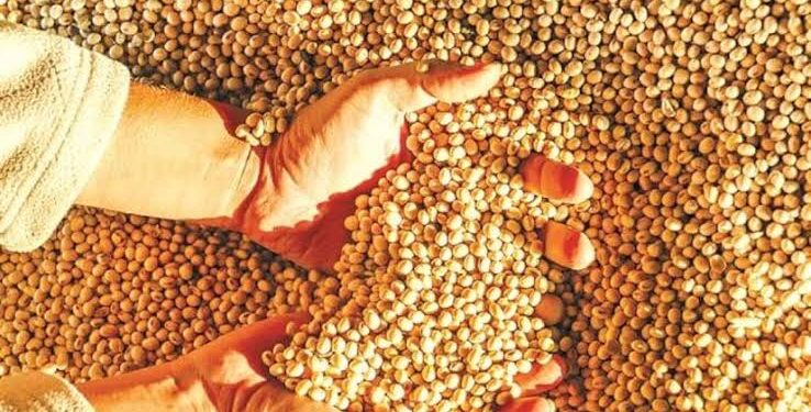 Exporter Calls for Action to Combat Misuse of Import Documents for Soybean Shipments into India