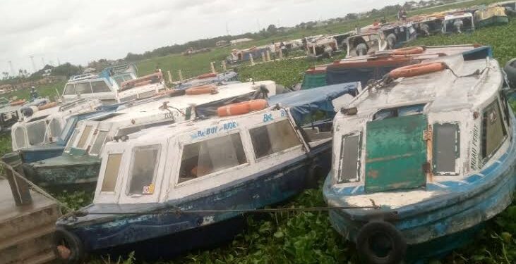 Despite N714 Million Budget, Water Hyacinth Overwhelms NIWA, Takes Over Lagos Waterways