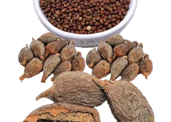 Alligator Pepper: Benefits, FAQ, Side Effects, & Warning