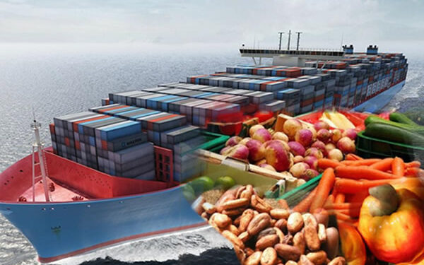 Nigeria’s Non-Oil Revenue Hits N6.9 Trillion in 2023, Aims for N18.32 Trillion in 2024