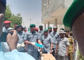 Customs Seizes N126.2m Smuggled Goods In Kebbi