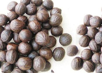 Some Health Benefits Of Walnut