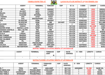 Vessels Expected At Lagos Ports As At 15th November, 2024