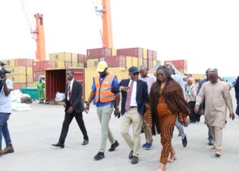 NEPC Frowns at $480m Expenditure on Importation of 3m Tonnes of Rice Importation