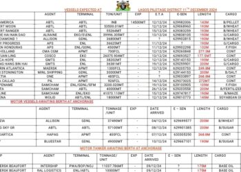 Vessels Expected At Lagos Ports As At 11th December, 2024