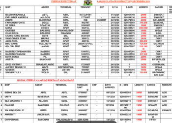 Vessels Expected At Lagos Ports As At 20th December, 2024
