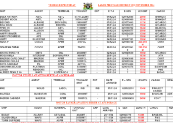 Vessels Expected At Lagos Ports As At 29th November, 2024