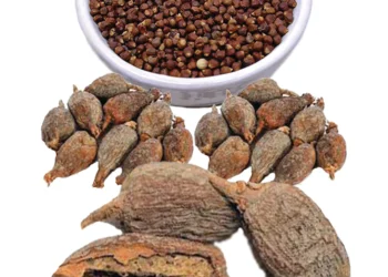 Alligator Pepper: Benefits, FAQ, Side Effects, & Warning