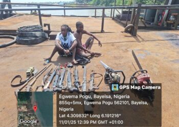 Nigerian Navy Raids Pirate, Kidnapper Camp in Bayelsa, Arrests Two Suspects