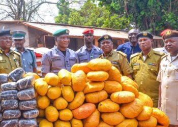 Customs Seizes Contraband With DPV Of N77.4m In Ogun