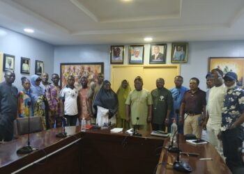 Nigeria’s Potential For Investment, Export Diversification Remains Underutilised — SON