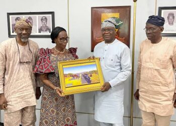 LPV Tech Calls for Zero Import as It Expands Solar Panel Production in Nigeria