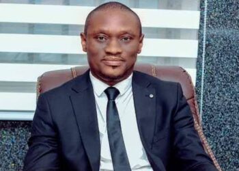 Nigeria’s Potential For Investment, Export Diversification Remains Underutilised — SON