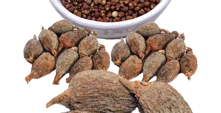 Alligator Pepper: Benefits, FAQ, Side Effects, & Warning