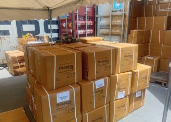 BREAKING: Customs Intercepts N921bn Worth of Contraband at Apapa Port as CG Flags Surge in Unregistered Pharmaceuticals, Drones