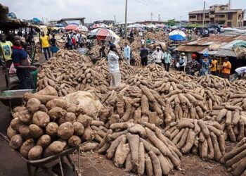Nigeria Urged To Expand Yam Export Market