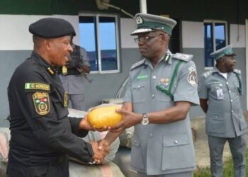 Customs Hands Over 730kg Cannabis To NDLEA