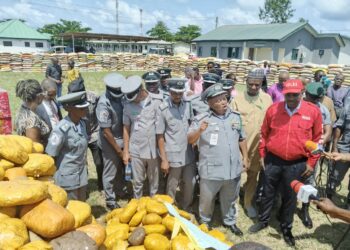 FRSC, NSC Renew Commitment Against Traffic Obstruction