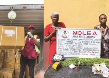NDLEA Intercepts N3.2bn Opioids In Lagos, Port Harcourt   
