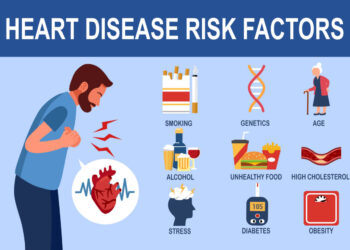 KNOW YOUR BODY PARTS: THE HEART