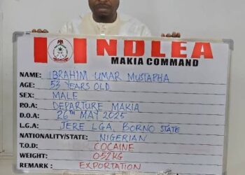 NDLEA Intercepts N9.3bn Worth Of Opioids In Onne Port, Rivers