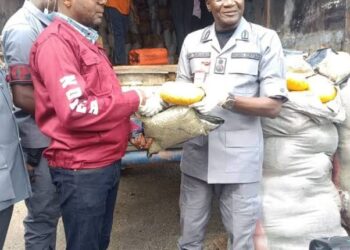 Oyo/Osun Customs Records Major Anti-Smuggling Wins, Hands Over Seized Drugs to NDLEA