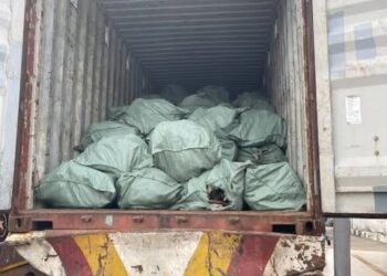 Customs Intercept 13.6kg Dry Donkey Skin Worth N3.6bn In Owerri