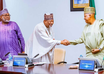 Tinubu Approves 6-Month Temporary Ban On Export Of Sheanuts