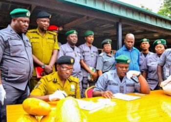 Customs Seizes Contraband With DPV Of N1.4 Bn In Ogun