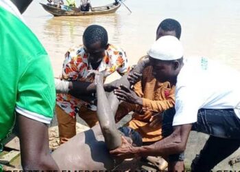 Port, Boat  Operators Rescue Man From Drowning In River Niger