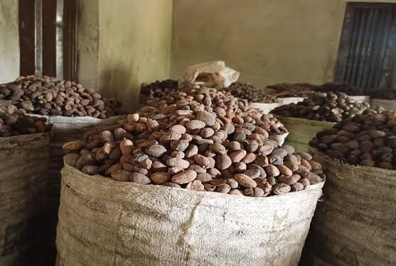 Why Nigeria Suspended Raw Shea Exports -FG
