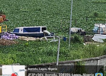 NIWA Deploys Machinery to Ikorodu to Tackle Water Hyacinth Menace