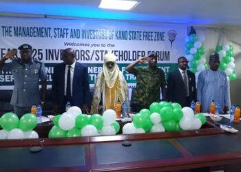 NEPZA Generates N1.8bn In 10 Months